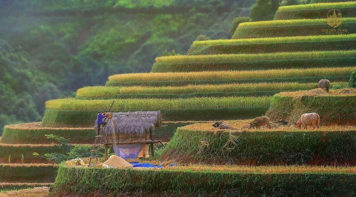 Vietnam Northern Loop 7 Days | Lan Ha Bay, Mai Chau & Ninh Binh